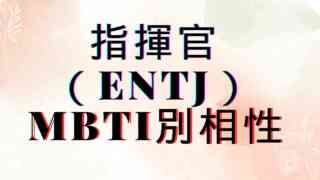 【指揮官ENTJ】×MBTI別相性は？